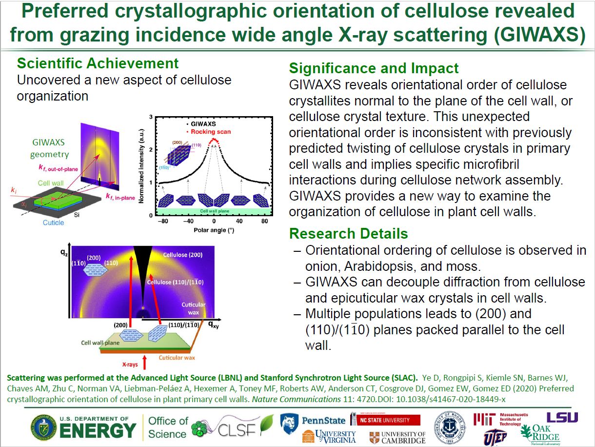 Research highlight from Gomez group- GIWAXS application indicates preferred crystallograpghic orientation of cellulose